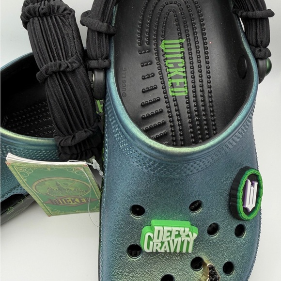 CROCS Classic Clog Wicked Defy Gravity Elphaba Wickedly Beautiful charms Jibbitz - Picture 2 of 16